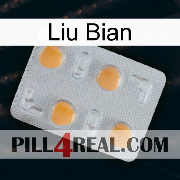 Liu Bian 24.jpg